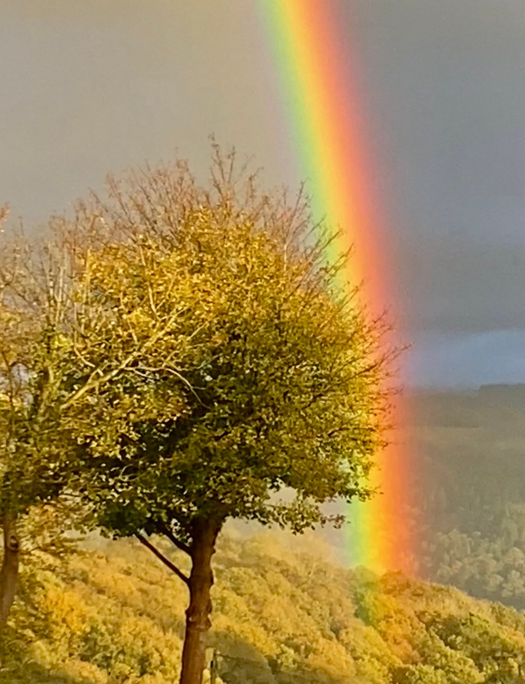 Day 7 I think I’ve kicked lithium from my&nbsp;life