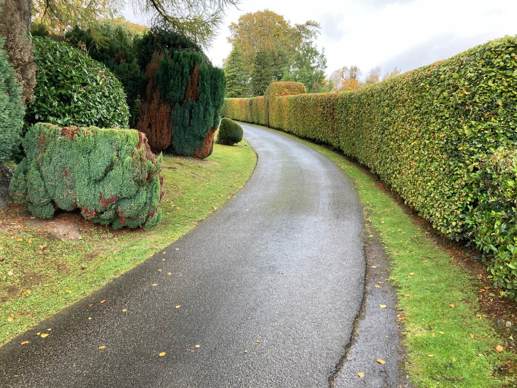 Day 4 Dealing with Temazepam AND Lithium Side Effects: A Personal&nbsp;Journey