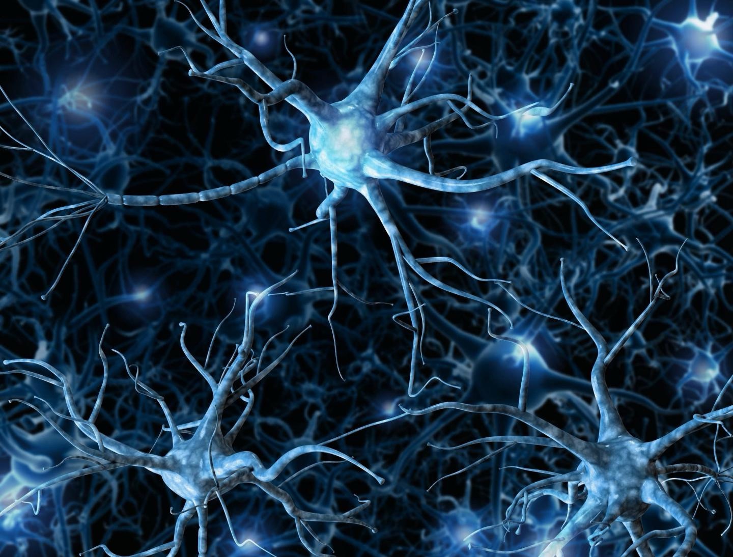 Jaywalking Neural Pathways